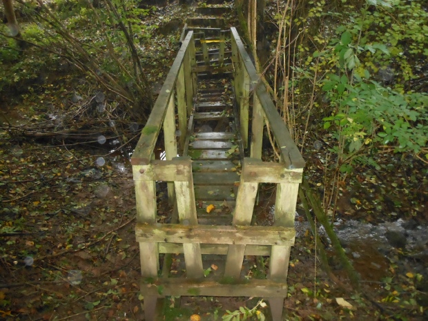 Footbridge1