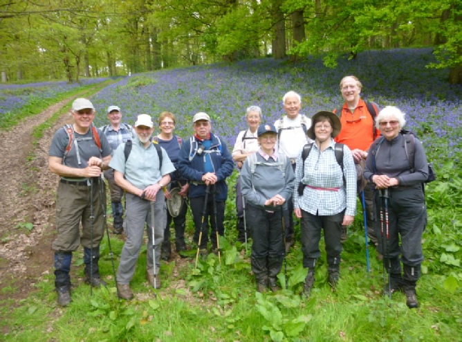 Blubells