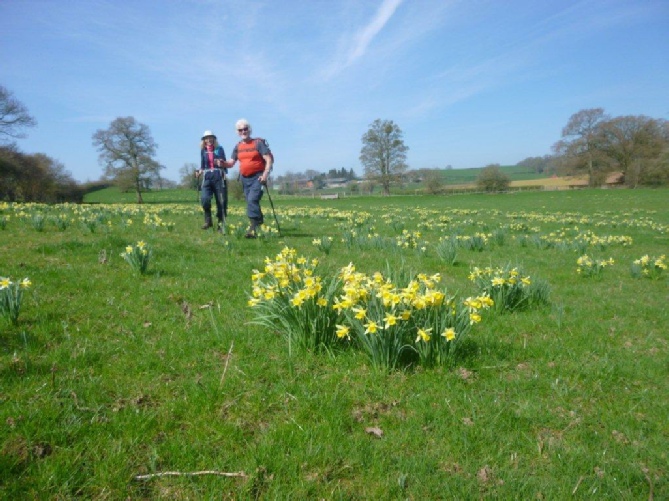 Bromseberrow3
