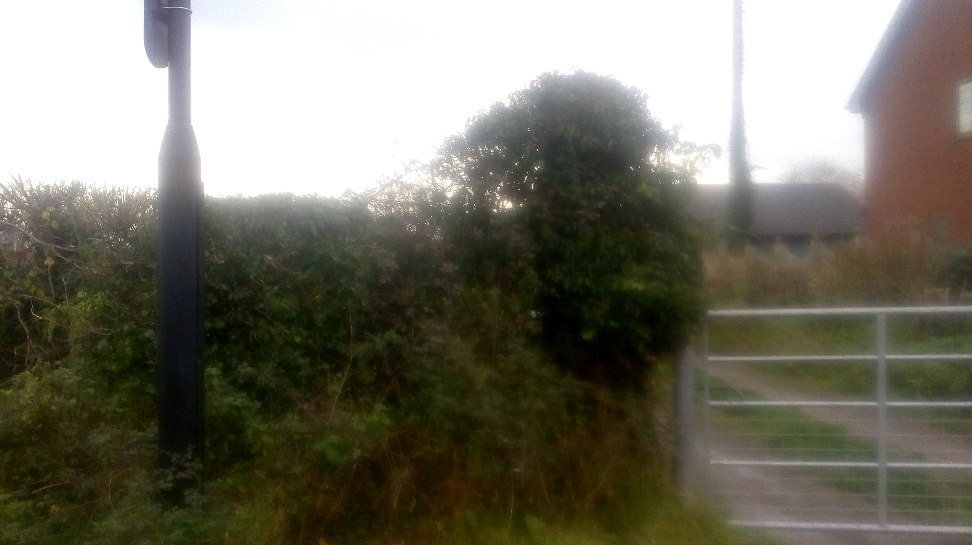 IMG 20201130 100258