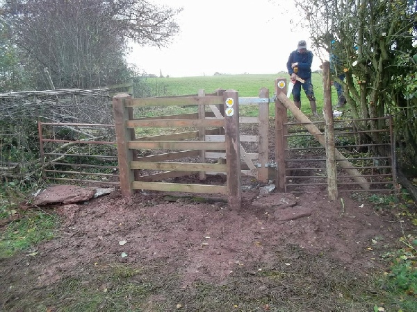 WorkParty5