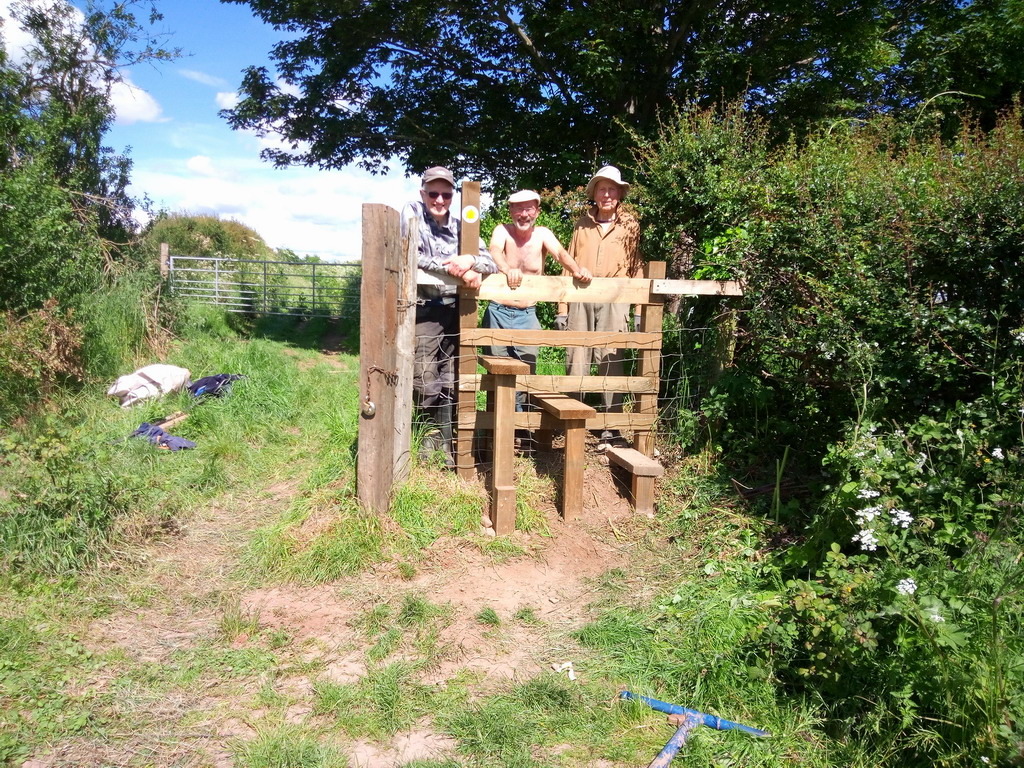 Working party 4 June 2021